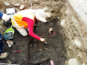 vestigios_arqueologicos_isla_alacran_t